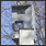 Traffic Light Camera