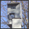 Traffic Light Camera